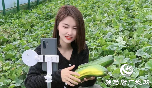泌阳县：瓜果梨桃绘就乡村振兴新画卷