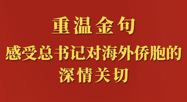 重温金句，感受总书记对海外侨胞的深情关切