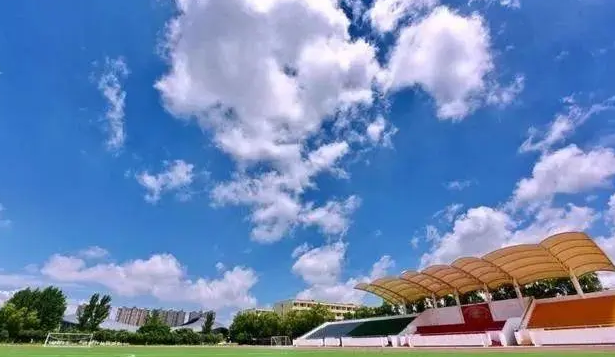 首批全国健康学校建设单位名单公示！驻马店4所学校上榜