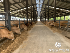 泌阳县：依托特色产业撑起县域经济发展“脊梁”