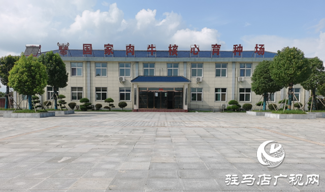 泌阳县：依托特色产业撑起县域经济发展“脊梁”
