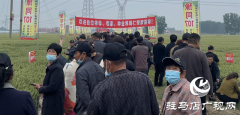 引领小麦新方向！吨源种业2023年豫同107观摩会隆重召开