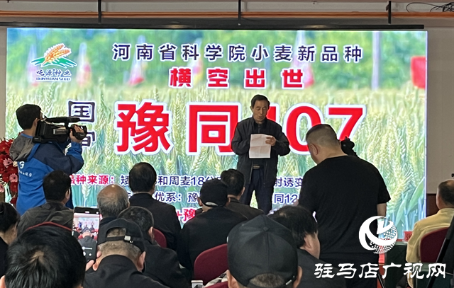 引领小麦新方向！吨源种业2023年豫同107观摩会隆重召开