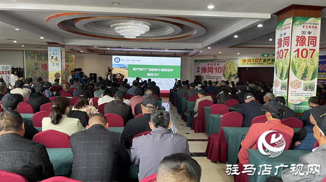 引领小麦新方向！吨源种业2023年豫同107观摩会隆重召开