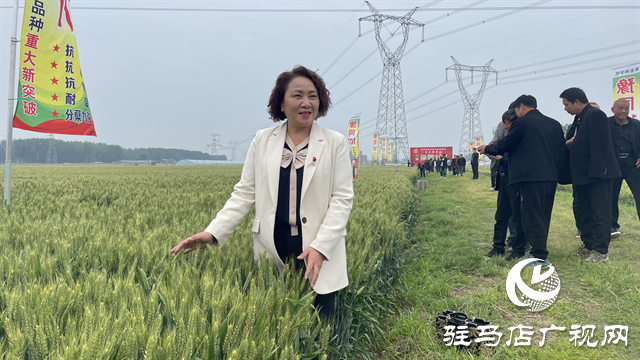 图片6.png