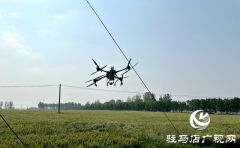 泌阳县郭集镇：利用无人机喷药打牢夏粮丰产基础