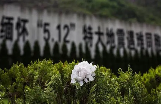 汶川地震15年了，缅怀逝者，致敬重生!