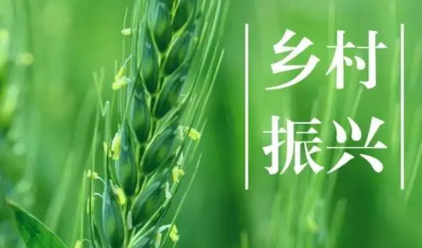 泌阳县：扎实开展集中排查走访 切实筑牢防止返贫“底线”