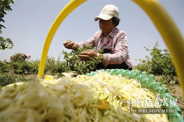 微信图片_20230516104751.jpg