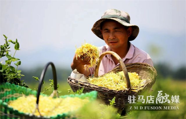微信图片_202305161047515.jpg