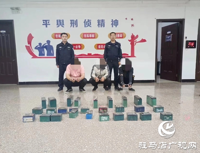 平舆警方侦破跨省市盗窃电动车电瓶系列团伙案