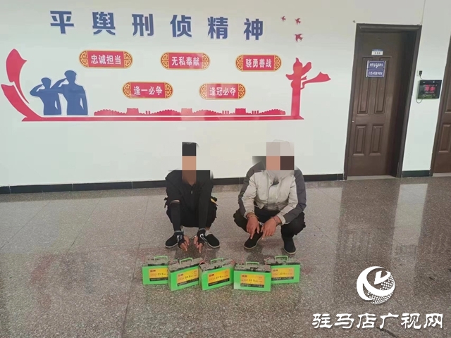 平舆警方侦破跨省市盗窃电动车电瓶系列团伙案