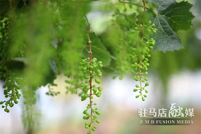 微信图片_202305181614172.jpg