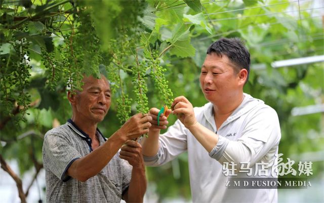 微信图片_202305181614171.jpg