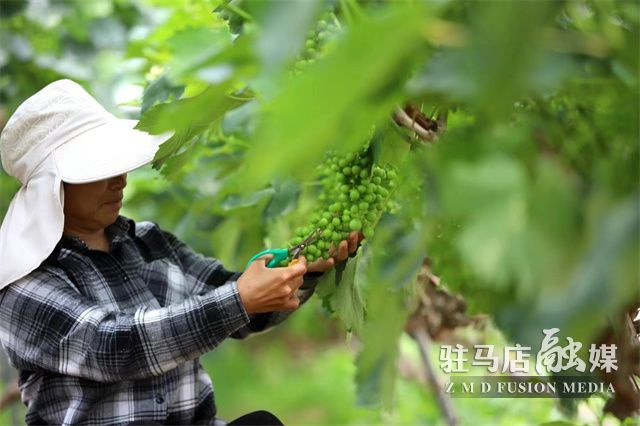 微信图片_202305181614173.jpg
