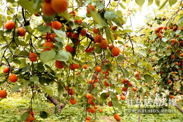 微信图片_202305190941586.jpg