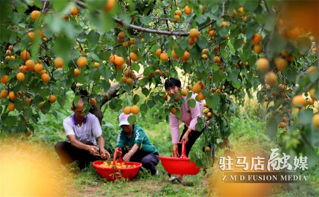 微信图片_202305190941583.jpg