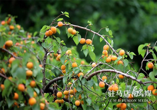 微信图片_202305190941584.jpg
