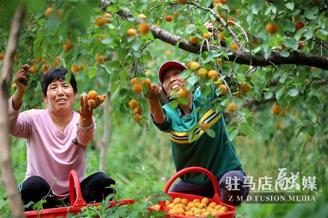 微信图片_202305190941582.jpg