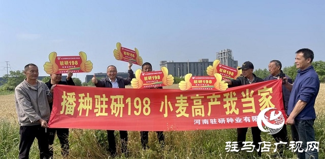驻研种业捷报频传：驻麦126、驻麦156、驻研198相继通过审定