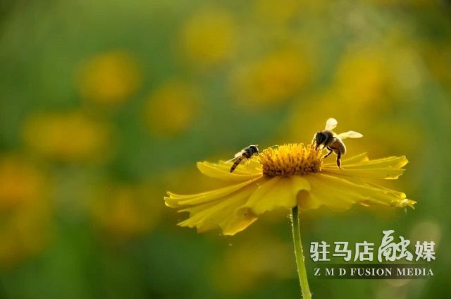 405bdd898fadfe8c1a197fb9a0b223f5.jpg