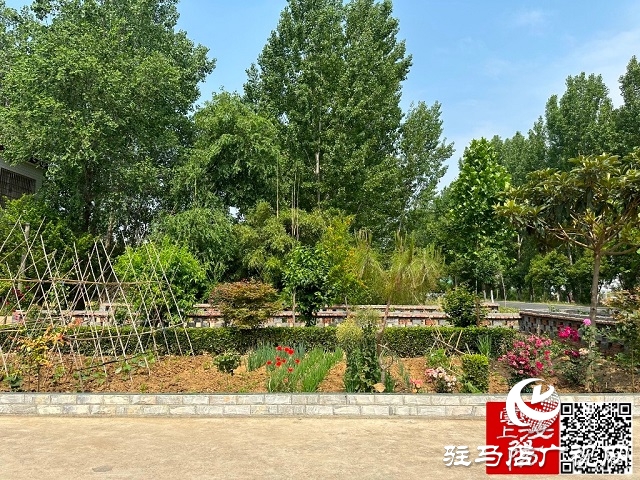 泌阳县郭集镇：车在景中行 人在画中走 人居环境整治现成效