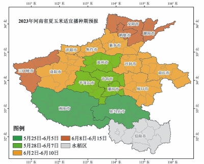 p41_b.jpg