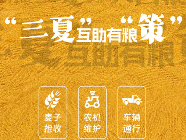 守护“大国粮仓” 大河网“三夏”互助有粮“策”