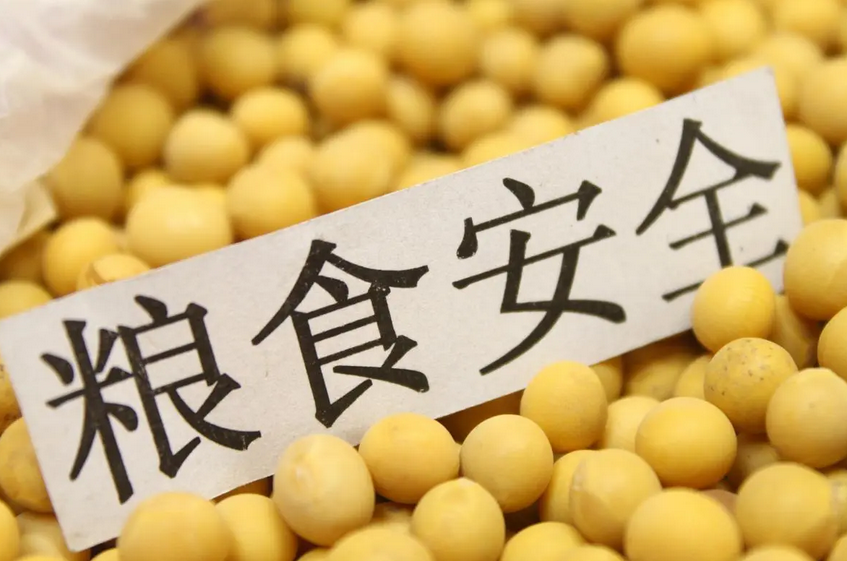 为什么粮食安全是“国之大者”？