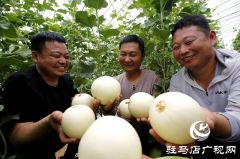 河南驻马店驿城区：土特产成为助农增收“金果果”