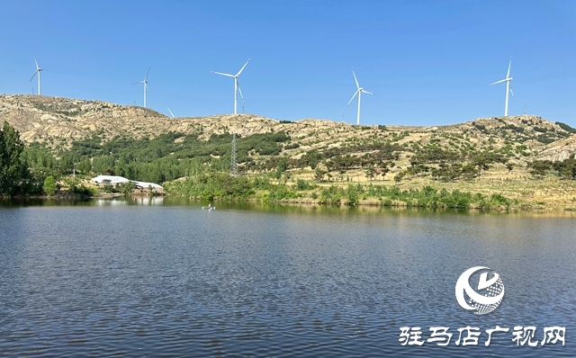 泌阳县郭集镇：未雨绸缪 打好防汛“主动仗”