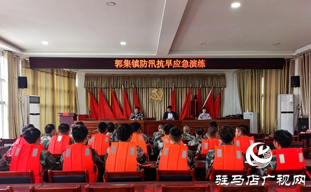 泌阳县郭集镇：未雨绸缪 打好防汛“主动仗”
