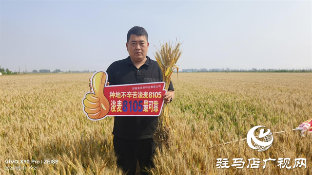 河南金粮田：严把麦种繁育质量关 为来年丰收保驾护航