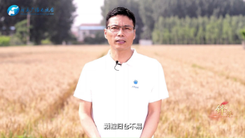 锋评｜收麦 是天大的事