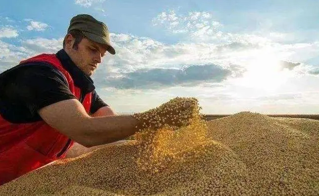 乌克兰官员：乌今年粮食出口量预计减少40%