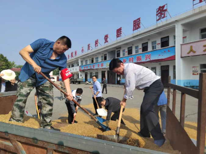 风吹麦浪党旗红 助农惠民促振兴——市纪委监委机关党员突击队助力“三夏”生产
