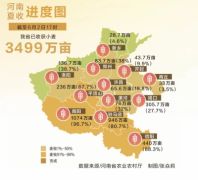 全力以赴战“三夏”丨连续两天机收面积超过1000万亩 抢收小麦 河南拼了