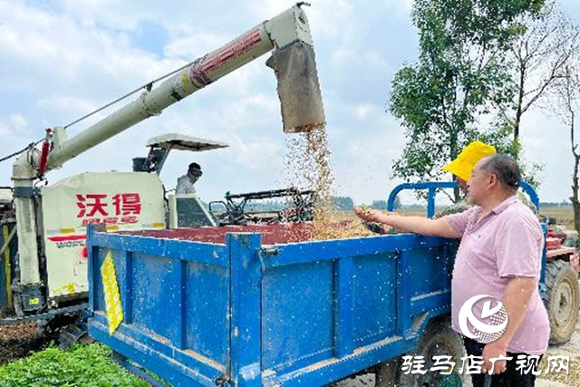 汝南县：抢抓天气晴好有利时机抢收麦子
