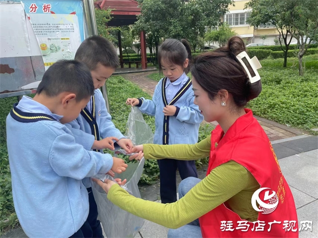 驻马店市实验幼儿园开展世界环境日活动