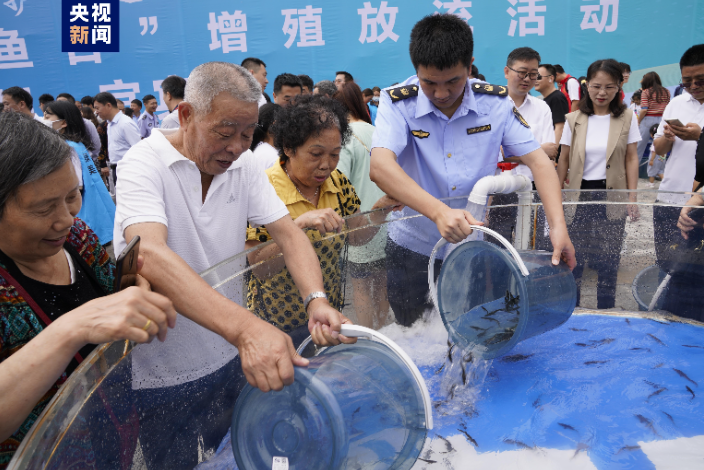我国最大规模！71万余尾长江鲟被放流