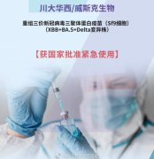 我国首个针对XBB疫苗获批紧急使用