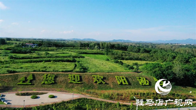 六月的泌阳，美出圈了！