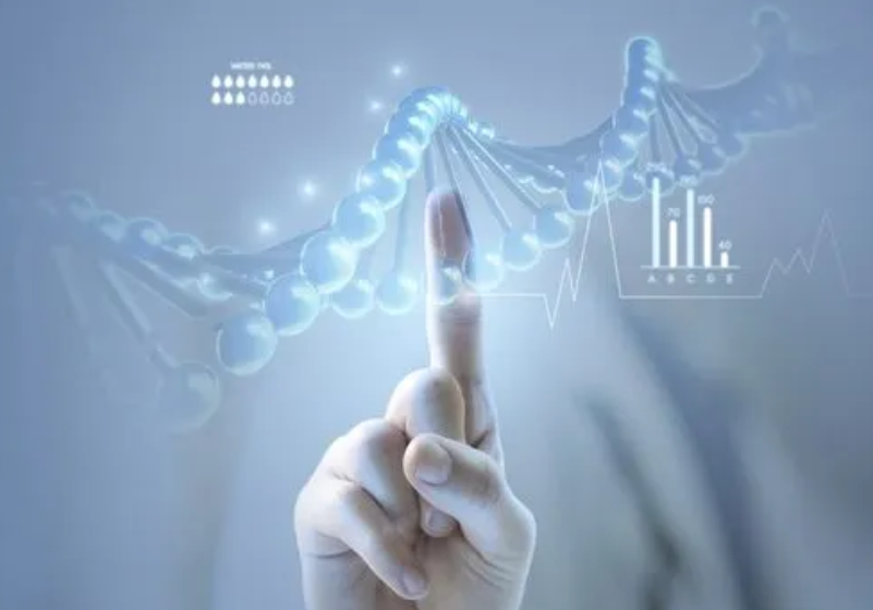 迄今最大最全人肺细胞图谱公布