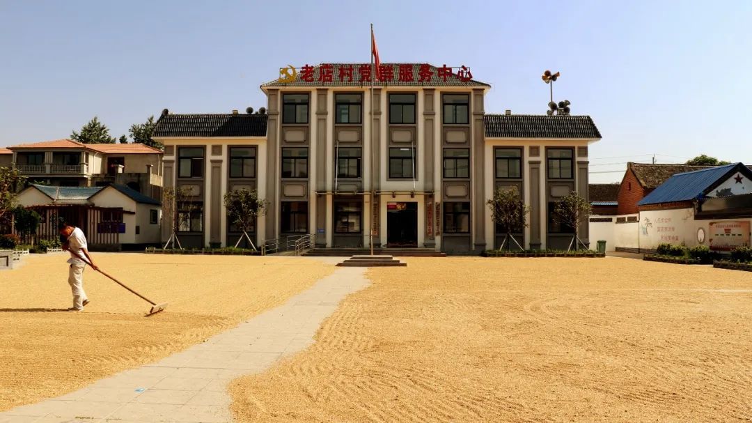 1686448672224678.jpg 3.jpg