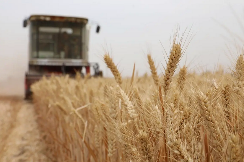 河南麦收基本结束 夏播进度已过八成