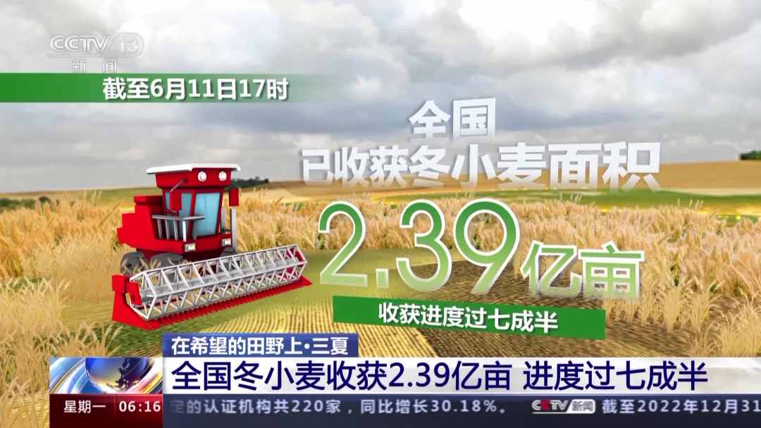 全国冬小麦收获2.39亿亩 进度过七成半