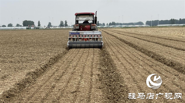 驻研种业：“芝麻播种机”助力