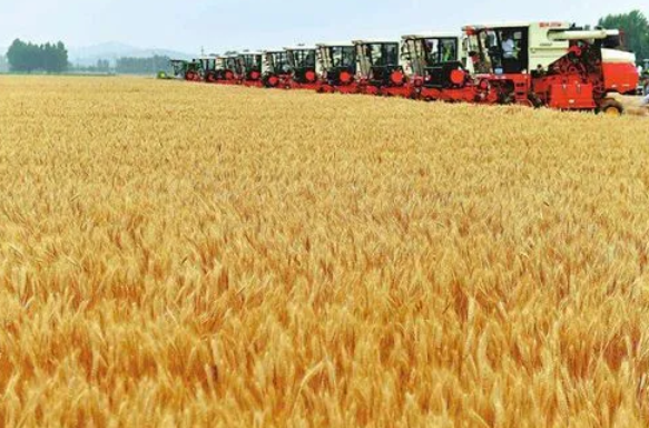 历时13天，河南麦收工作基本结束