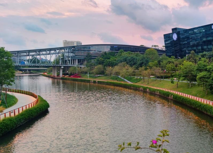 一批985毕业生选择主动“延毕”，有人故意挂科以获取资格