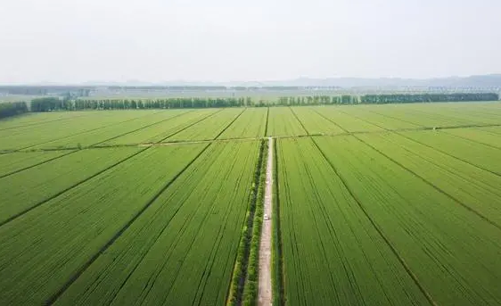 自然资源部：有序落实耕地进出平衡 严控城镇建设用地